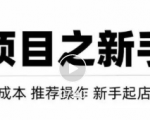 虚拟项目快速起店模式,0成本打造月入几万虚拟店铺!-520资源库