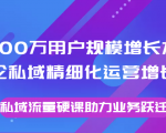 8000万用户规模增长方法论私域精细化运营增长，私域流量硬课助力业务跃迁-520资源库