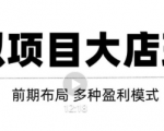 虚拟项目月入几万大店玩法分享，多店操作利润倍增（快速起店盈利）-520资源库