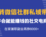 玩转微信社群私域带货,学会就能赚钱的社交电商,在家兼职副业再挣8000+-520资源库