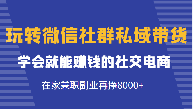 玩转微信社群私域带货，学会就能赚钱的社交电商，在家兼职副业再挣8000+-520资源库
