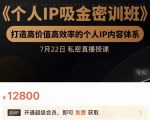 个人IP吸金密训班，打造高价值高效率的个人IP内容体系（价值12800元）-520资源库