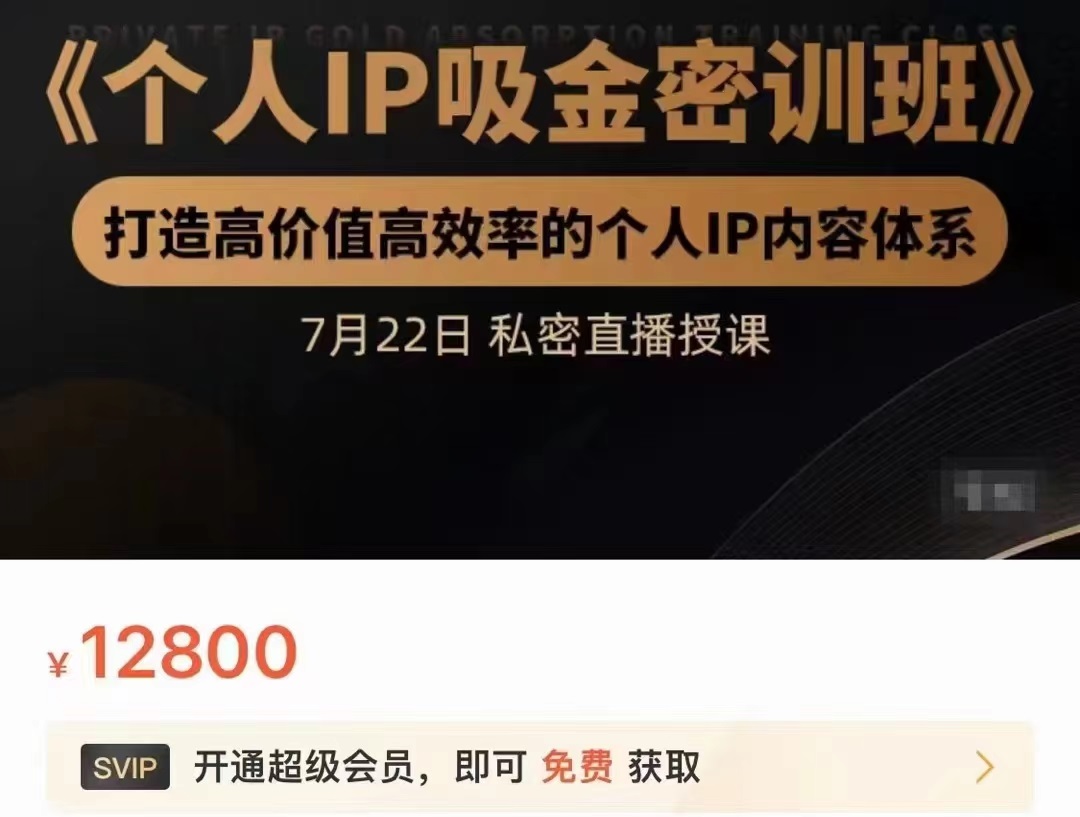个人IP吸金密训班,打造高价值高效率的个人IP内容体系(价值12800元)-520资源库