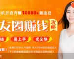 全网千万人气导师亲授：零基础/易上手的朋友圈赚钱攻略，让你轻松月入过万-520资源库