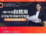 0粉0作品自然流正价起号及稳号全教程，专业自然流起号机构流程化教学（价值2980元）-520资源库