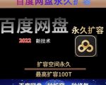 百度网盘无限扩容技术,外面卖399的,无论自己用还是用做引流都可以-520资源库