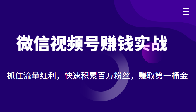 微信视频号赚钱实战:抓住流量红利,快速积累百万粉丝,赚取你的第一桶金-520资源库