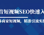 抖音短视频Seo搜索排名优化新手快速入门教程，实体商家短视频，精准引流实操课-520资源库