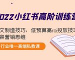 2022小红书高阶训练营:爆文制造技巧,低预算高roi投放技巧,内容营销思维-520资源库