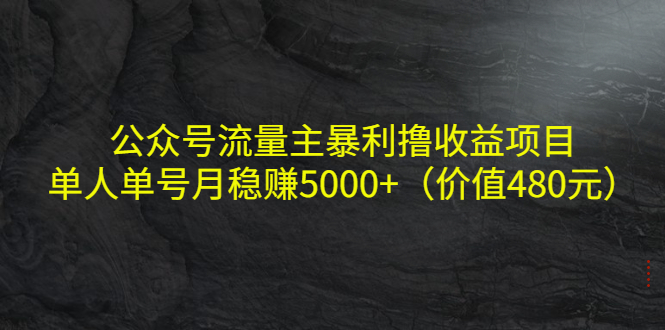 公众号流量主暴利撸收益项目,单人单号月稳赚5000+(价值480元)-520资源库