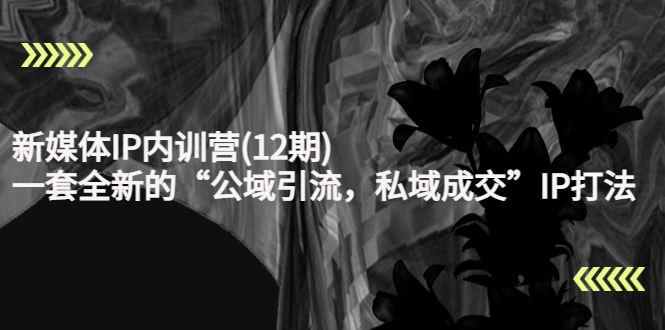 新媒体IP内训营(12期)，一套全新的“公域引流，私域成交”IP打法，直接带走-520资源库