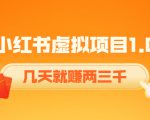 《小红书虚拟项目1.0》账号注册+养号+视频制作+引流+变现，几天就赚两三千-520资源库