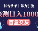 日收益1000+的交友盲盒副业丨有手就行的抖音快手暴力引流-520资源库