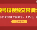 视频号短视频文案训练营:0基础小白如何建立视频号,上热门,能卖货!-520资源库