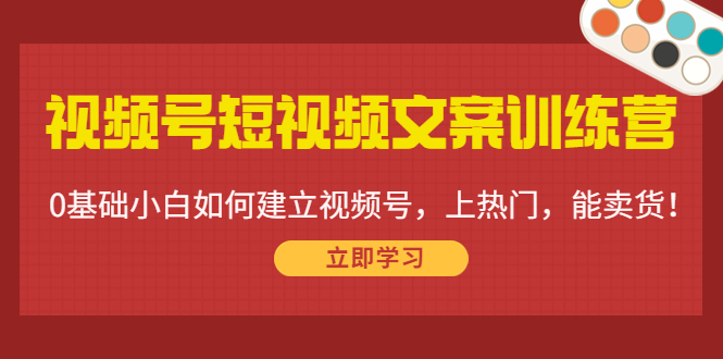 视频号短视频文案训练营:0基础小白如何建立视频号,上热门,能卖货!-520资源库