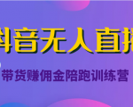 抖音无人直播带货赚佣金陪跑训练营(价值6980元)-520资源库