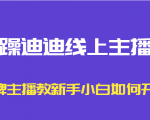 暴躁迪迪线上主播课,金牌主播教新手小白如何开播-520资源库