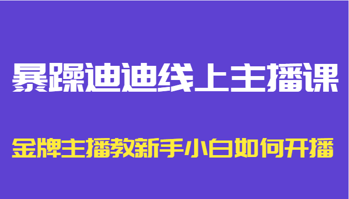 暴躁迪迪线上主播课，金牌主播教新手小白如何开播-520资源库