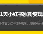 21天小红书涨粉变现营(第4期):带你掌握小红书爆款玩法,月赚10W+秘密-520资源库