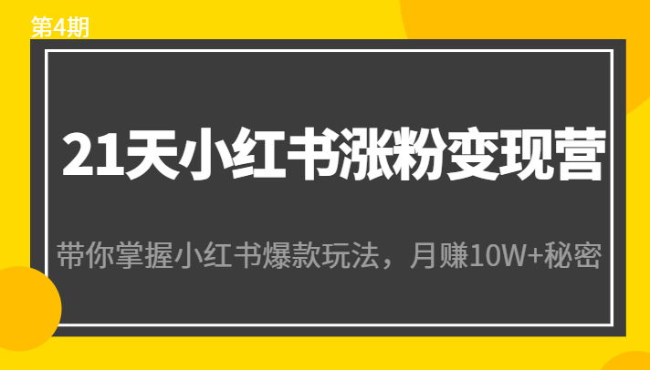 21天小红书涨粉变现营(第4期):带你掌握小红书爆款玩法,月赚10W+秘密-520资源库