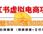 小红书虚拟电商项目：从小白到精英 月收益5000到30000 (视频课程+交付手册)-520资源库