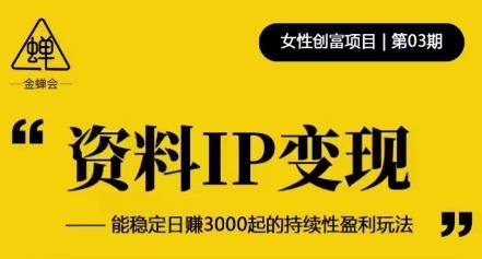 资料IP变现，能稳定日赚3000起的持续性盈利玩法-520资源库