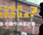外面收费2980的全平台电商白嫖撸货技术（仅揭秘勿操作-商家防范必看）-520资源库
