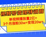 21天视频号变现特训营：单视频播放量2亿+3个月涨粉30w+变现20w+（第14期）-520资源库