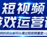 短视频游戏赚钱特训营，0门槛小白也可以操作，日入1000+-520资源库