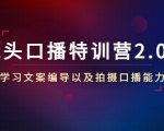 镜头口播特训营2.0版,学习文案编导以及拍摄口播能力(50节课时)-520资源库