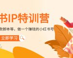小红书IP特训营:从搭建-制作-爆款脚本等等,做一个赚钱的小红书号-520资源库