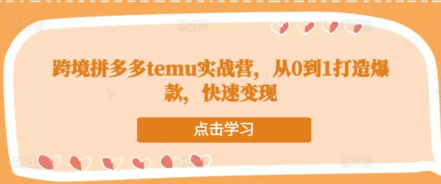 跨境拼多多temu实战营，从0到1打造爆款，快速变现-520资源库