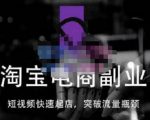 蓝Sir派·淘宝短视频快速起店,替代传统搜索方式,学会做一个不一样的淘宝店-520资源库