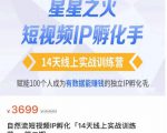 瑶瑶·自然流短视频IP孵化第二期，14天线上实战训练营，赋能100个人成为有数据能赚钱的独立IP孵化手-520资源库