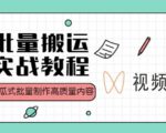 视频号批量搬运实战操作运营赚钱教程，傻瓜式批量制作高质量内容【附视频教程+PPT】-520资源库