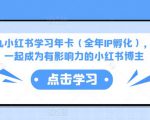 厦九九小红书学习年卡（全年IP孵化），沉浸式学习，一起成为有影响力的小红书博主-520资源库