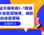 大圣淘宝天猫电商1-7层级盈利增长底层逻辑课,爆款的底层逻辑-520资源库