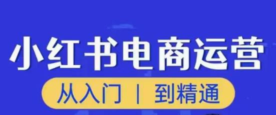 顽石小红书电商高阶运营课程,从入门到精通,玩法流程持续更新-520资源库