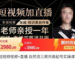 张越·短视频+直播，自然流三频共振起号实操课，​短视频所有流量玩法讲解-520资源库