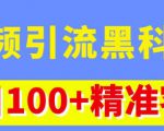 视频引流黑科技玩法,不花钱推广,视频播放量达到100万+,每日100+精准客源-520资源库
