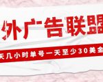 外面收费1980的最新国外LEAD广告联盟搬砖项目，单号一天至少30美金【详细玩法教程】-520资源库
