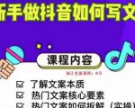 新手做抖音如何写文案,手把手实操如何拆解热门文案-520资源库