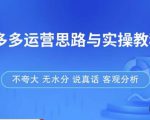 拼多多店铺运营思路与实操教程，快速学会拼多多开店和运营，少踩坑，多盈利-520资源库