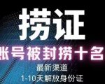 2023年最新抖音八大技术，一证多实名，秒注销，断抖破投流，永久捞证，钱包注销，跳人脸识别，蓝V多实-520资源库