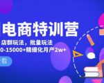 美团电商特训营：美团·店群玩法，无脑铺货月产出6000-15000+精细化月产2w+-520资源库