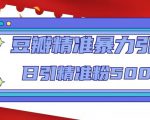 豆瓣精准暴力引流，日引精准粉500+【12课时】-520资源库