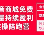 抖音商城搜索持续盈利陪跑成长营,抖音商城搜索从0-1、从1到10的全面解决方案-520资源库