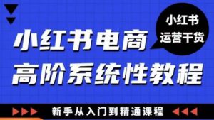 小红书电商高阶系统教程，新手从入门到精通系统课-520资源库