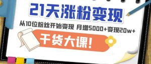 21天精准涨粉变现干货大课：从10位粉丝开始变现月增5000+变现20w+-520资源库