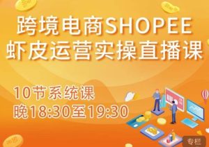 跨境电商Shopee虾皮运营实操直播课，从零开始学，入门到精通（10节系统课）-520资源库